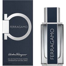 Salvatore Ferragamo 30 ml hind ja info | Meeste parfüümid | kaup24.ee