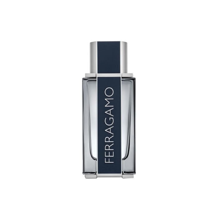 Salvatore Ferragamo Ferragamo for Men EDT 100ml цена и информация | Meeste parfüümid | kaup24.ee