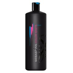 Шампунь для окрашенных волос Color Ignite Sebastian (1000 ml) цена и информация | Шампуни | kaup24.ee