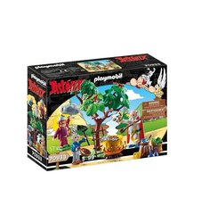70933 PLAYMOBIL, Asterix: Getafix with the caldron of Magic Potion цена и информация | Конструкторы и кубики | kaup24.ee