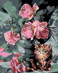 Maalid numbrite järgi "Kitten and roses" 40x50 KTMK-40457 G hind ja info | Maalid numbri järgi | kaup24.ee