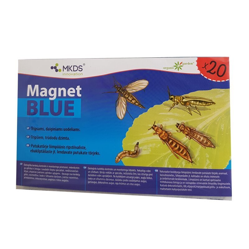 Mini MAGNET blue (20X12 cm) – liimpüünis ripstivalistele hind ja info | Hooldusvahendid taimedele | kaup24.ee
