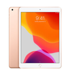 iPad 7 10.2" 32GB WiFi, Gold (kasutatud, seisukord A) цена и информация | Планшеты | kaup24.ee