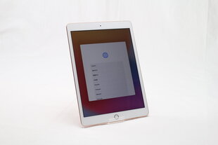 iPad 7 10.2" 32GB WiFi, Gold (kasutatud, seisukord A) hind ja info | Tahvelarvutid | kaup24.ee
