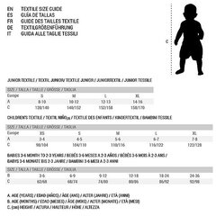 Детская толстовка Nike CW6896 010 S2019613 цена и информация | Свитеры, жилетки, пиджаки для мальчиков | kaup24.ee