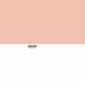 Voodikate Sweet Peach Pantone: Mõõtmed - UK super kaheinimesevoodi (270 x 260 cm) цена и информация | Tekid | kaup24.ee