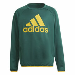 Детская толстовка Adidas D2M Big Logo цена и информация | Свитеры, жилетки, пиджаки для мальчиков | kaup24.ee