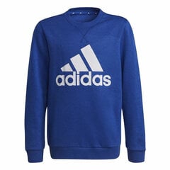Детская толстовка Adidas Essentials Big Logo цена и информация | Свитеры, жилетки, пиджаки для мальчиков | kaup24.ee