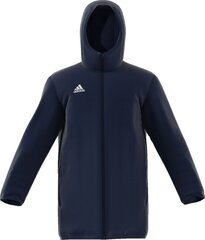 Куртка мужская Adidas Core 18 Stadium, синяя цена и информация | Мужские куртки | kaup24.ee