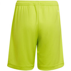 Poiste lühikesed püksid Adidas Entrada 22 Jr HC5065, roheline hind ja info | Poiste lühikesed püksid | kaup24.ee