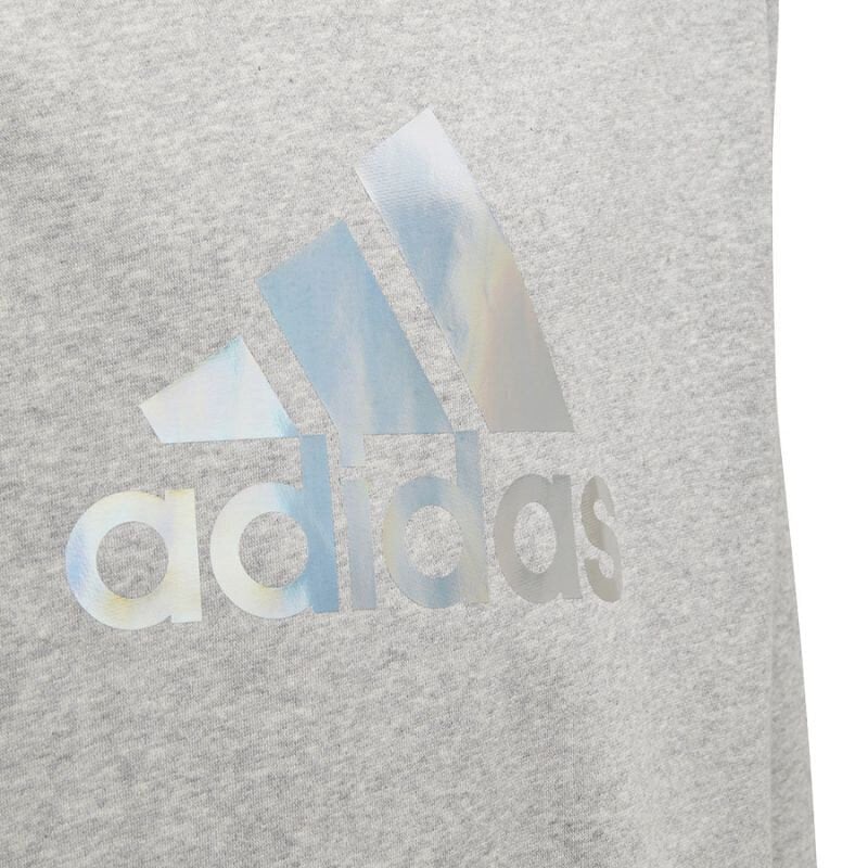 Laste dressipluus Adidas, hall hind ja info | Tüdrukute kampsunid, vestid ja jakid | kaup24.ee