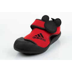 Детские сандалии Adidas Jr F35863, красные. цена и информация | Детские сандали | kaup24.ee