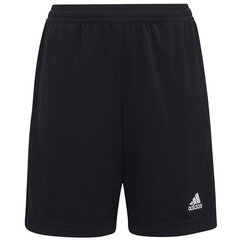 Poiste lühikesed püksid Adidas Entrada 22 Training Short Y Jr H57498, must hind ja info | Poiste lühikesed püksid | kaup24.ee