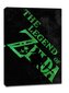 Tüpograafiašabloonid – Zelda legend – maalimine lõuendile 40 x 50 cm hind ja info | Seinapildid | kaup24.ee