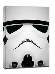 Nägu vastu! Tähesõjad Star Wars – Stormtrooper – maal lõuendile 50 x 70 cm hind ja info | Seinapildid | kaup24.ee
