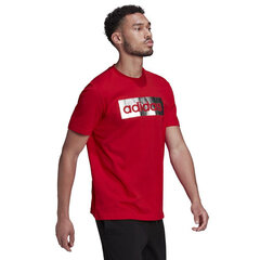 Футболка для мужчин Adidas цена и информация | Мужские футболки | kaup24.ee