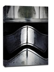 Посмотри в лицо! Звездные войны Звездные войны - Фазма - картина на холсте 50x70 cm цена и информация | Картины, живопись | kaup24.ee
