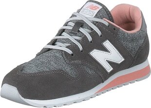 Naiste spordijalatsid New Balance 520 WL520TLB, hall hind ja info | Naiste spordi- ja vabaajajalatsid | kaup24.ee