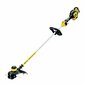 Akutrimmer DeWalt DCM561P1 hind ja info | Murutrimmerid | kaup24.ee