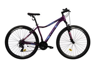 Горный велосипед DHS 2922 29", фиолетовый цена и информация | Велосипеды | kaup24.ee