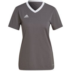 Спортивная футболка женская Adidas Entrada 22 Jsy, серая цена и информация | Спортивная одежда для женщин | kaup24.ee
