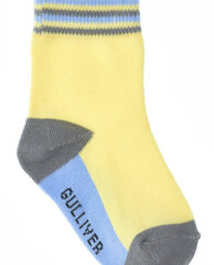 Комплект голубых носков, 2 пары для мальчиков «Gulliver» цена и информация | Носки, колготки для мальчиков | kaup24.ee