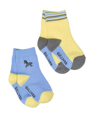 Комплект голубых носков, 2 пары для мальчиков «Gulliver» цена и информация | Носки, колготки для мальчиков | kaup24.ee