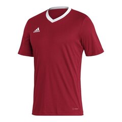 Meeste spordi t-särk Adidas Entrada 22 M H61736, punane hind ja info | Meeste spordiriided | kaup24.ee