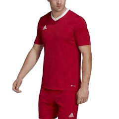 Meeste spordi t-särk Adidas Entrada 22 M H61736, punane hind ja info | Meeste spordiriided | kaup24.ee