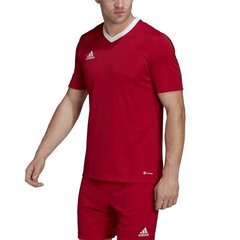 Meeste spordi t-särk Adidas Entrada 22 M H61736, punane цена и информация | Мужская спортивная одежда | kaup24.ee