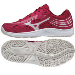 Кроссовки женские Mizuno Cyclone Speed 3 W V1GC218064 цена и информация | Спортивная обувь, кроссовки для женщин | kaup24.ee