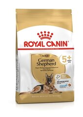 Royal Canin vanemad saksa lambakoerad German Shepherd Adult +5, 12kg цена и информация | Сухой корм для собак | kaup24.ee