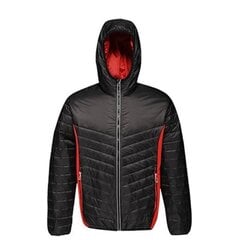 Мужская куртка Regatta Lake Placid Jcket M TRA464 1CN цена и информация | Мужские куртки | kaup24.ee