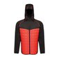 Meeste jope Regatta Modular Thermal M TRA517 92F hind ja info | Meeste joped | kaup24.ee