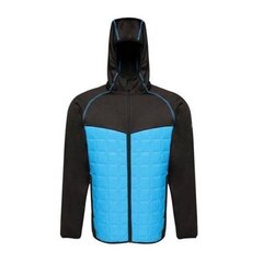 Regatta Modular Thermal M TRA517 4WD meeste spordijope hind ja info | Meeste joped | kaup24.ee