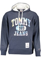 Naiste sviiter Tommy Hilfiger, hall hind ja info | Meeste pusad | kaup24.ee