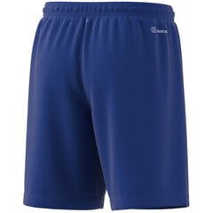 Шорты для мальчиков Adidas Entrada 22 Short Y Jr HG6291, синие цена и информация | Шорты для мальчиков | kaup24.ee