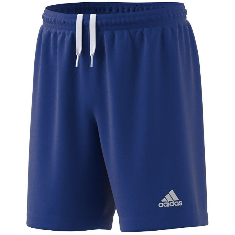 Poiste lühikesed püksid Adidas Entrada 22 Short Y Jr HG6291, sinine цена и информация | Poiste lühikesed püksid | kaup24.ee