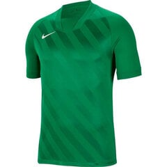 Спортивная футболка для мальчиков Nike Dri Fit Challange 3 Y Jr BV6738 302, зеленая цена и информация | Рубашки для мальчиков | kaup24.ee