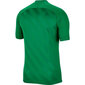 Poiste spordisärk Nike Dri Fit Challange 3 Y Jr BV6738 302, roheline hind ja info | Poiste särgid | kaup24.ee