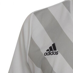 Adidas Entrada 22 Graphic Jersey Jr HF0120 laste t-särk, valge hind ja info | Poiste särgid | kaup24.ee