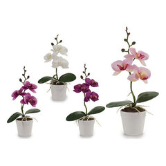 Lillepott valge (7 x 26 x 14 cm) hind ja info | Floristlika materjalid | kaup24.ee