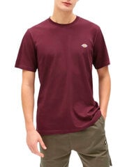 Meeste T-särk Dickies BFN-G-336690 hind ja info | Meeste T-särgid | kaup24.ee