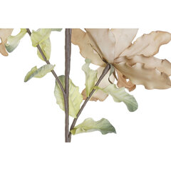 Декоративный цветок DKD Home Decor EVA, 35 x 12 x 97 см, 3 шт цена и информация | Искусственные цветы | kaup24.ee