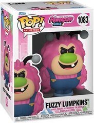 Фигурка Funko POP! Powerpuff Girls – Fuzzy Lumpkins  цена и информация | Атрибутика для игроков | kaup24.ee