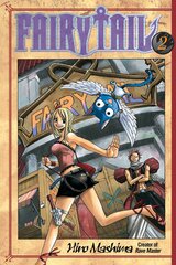 Koomiksid Manga Fairy tail Vol 2 цена и информация | Комиксы | kaup24.ee