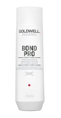 Шампунь для ослабленных волос Goldwell Dualsenses Bond Pro, 250 мл цена и информация | Шампуни | kaup24.ee