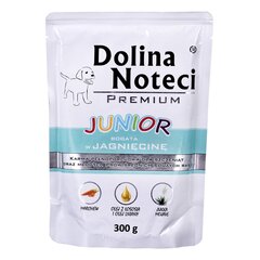 Konserv koertele Dolina Noteci Premium, lambalihaga, 300 g hind ja info | Konservid koertele | kaup24.ee