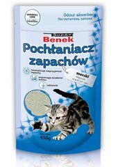 Очиститель от запахов/пятен после домашних животных 450 г цена и информация | Средства по уходу за животными | kaup24.ee