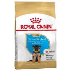 Kuivtoit noorele saksa lambakoerale Royal Canin Breed German Shepherd Puppy, 1 kg цена и информация | Сухой корм для собак | kaup24.ee